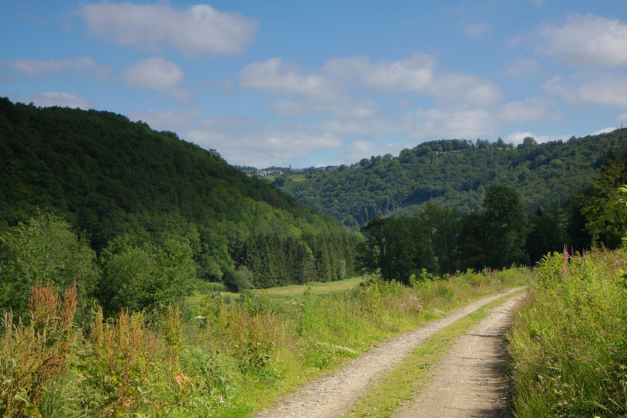 2011-06-26-0048.jpg