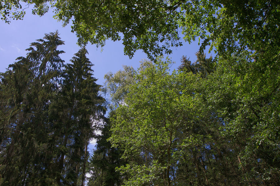 2011-06-26-0053.jpg
