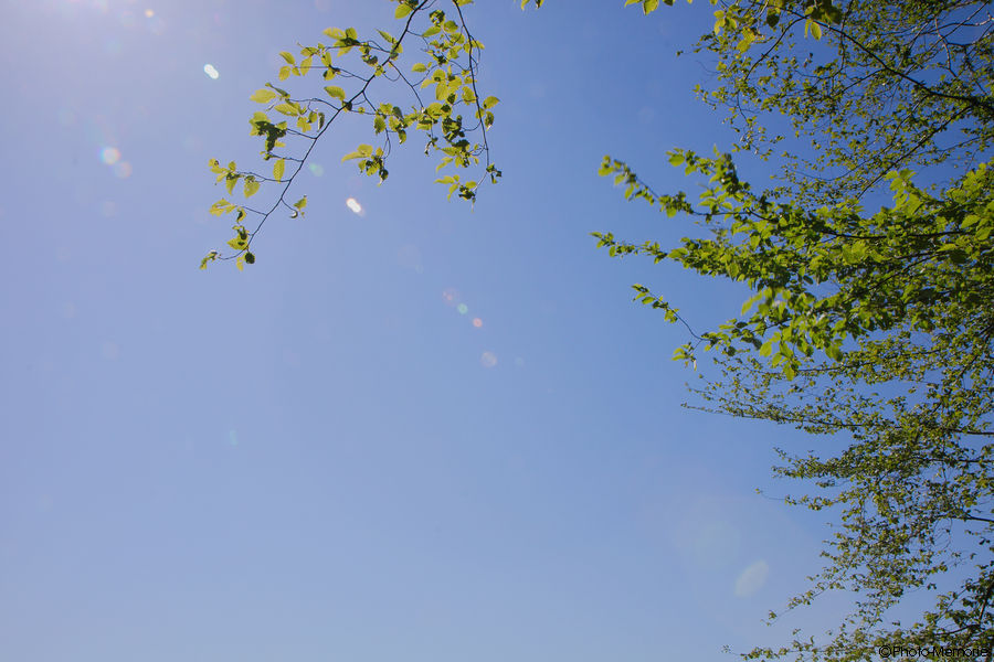 2011-06-27-0070.jpg