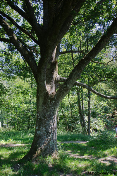 2011-06-27-0072.jpg