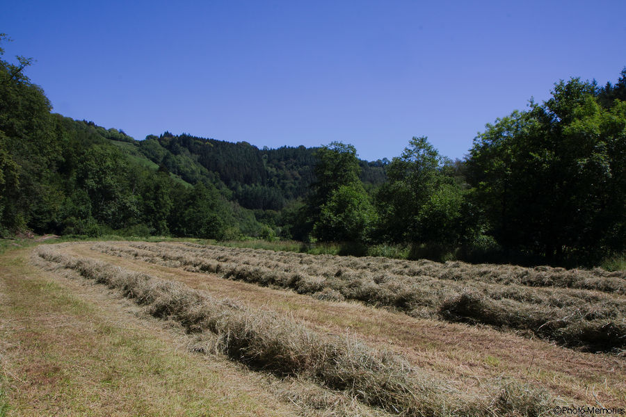 2011-06-27-0073.jpg