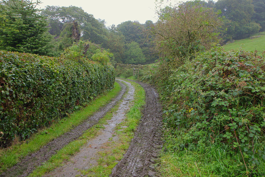 2011-09-03-0003.jpg