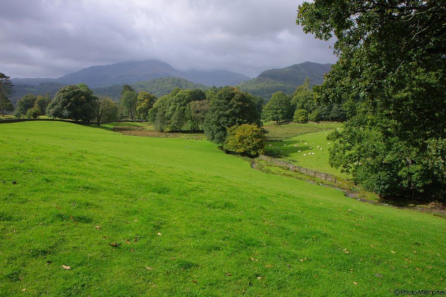 2011-09-06-0087.jpg