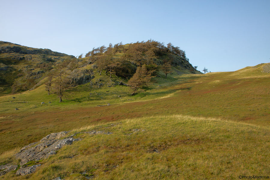 2011-09-15-0313.jpg