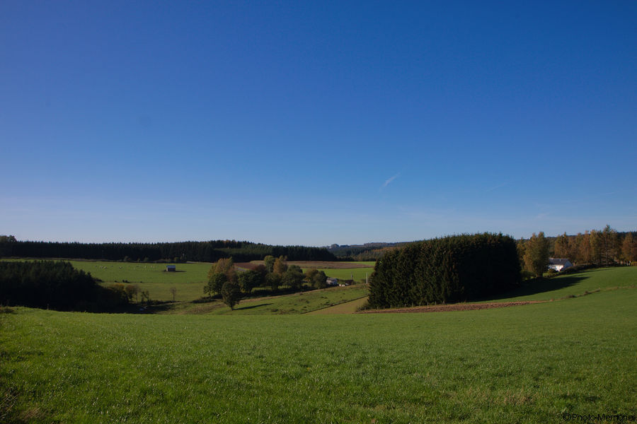 2011-10-15-0028.jpg