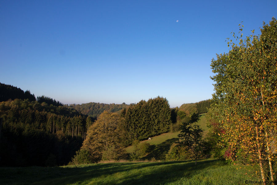 2011-10-16-0036.jpg