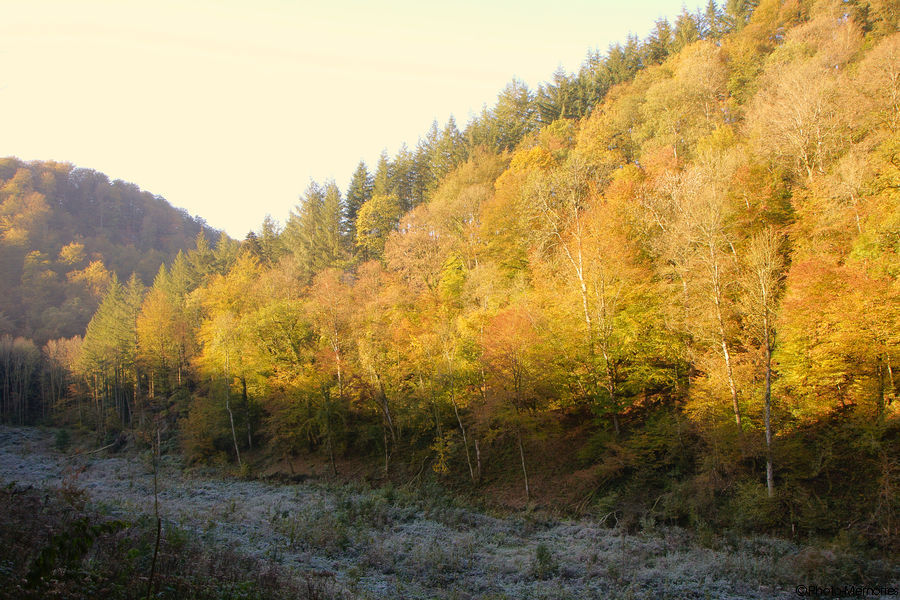 2011-10-16-0037.jpg