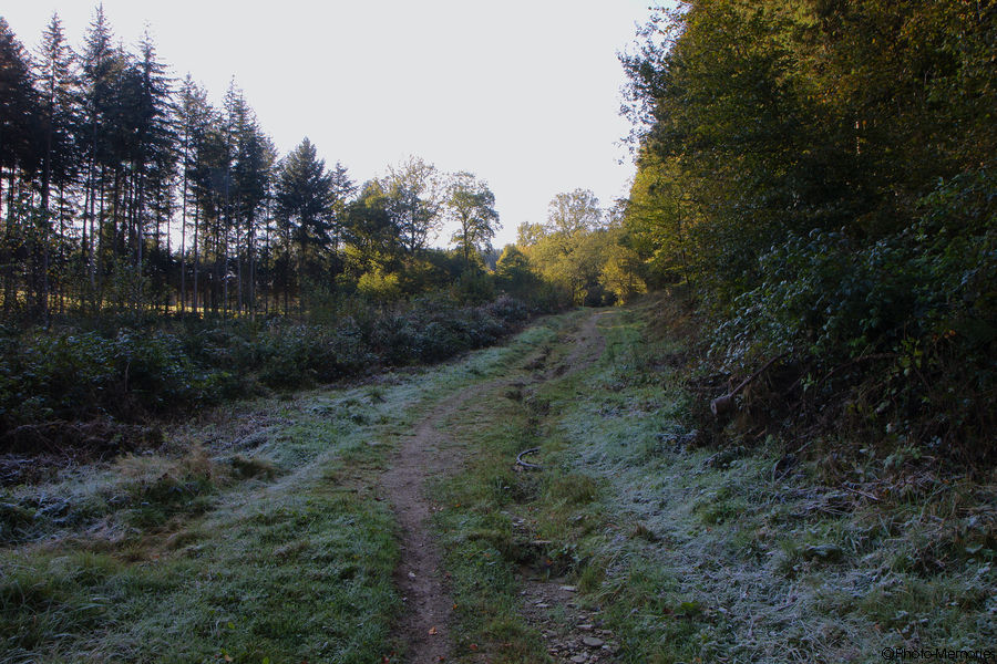 2011-10-16-0039.jpg
