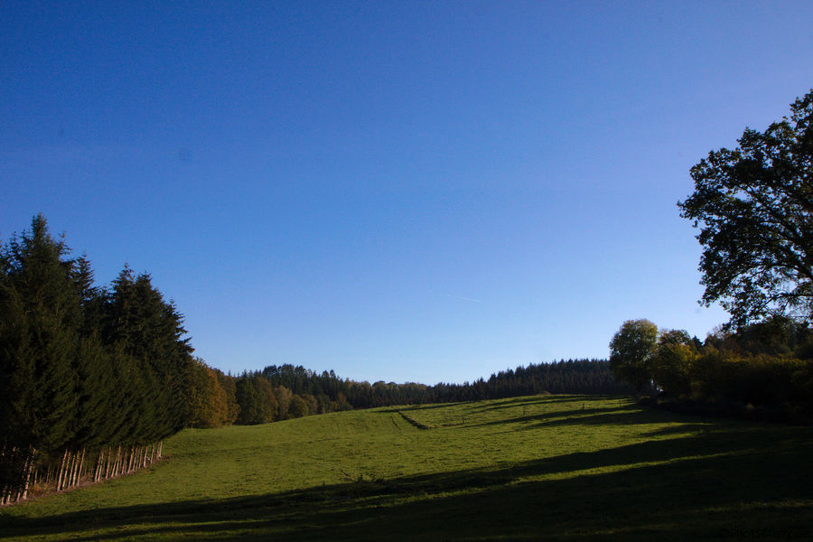 2011-10-16-0040.jpg