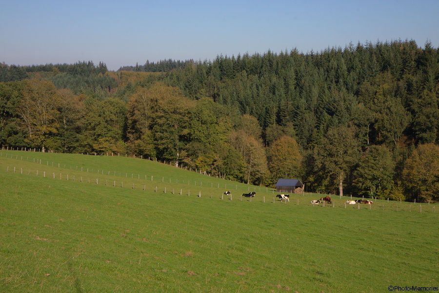 2011-10-16-0041.jpg