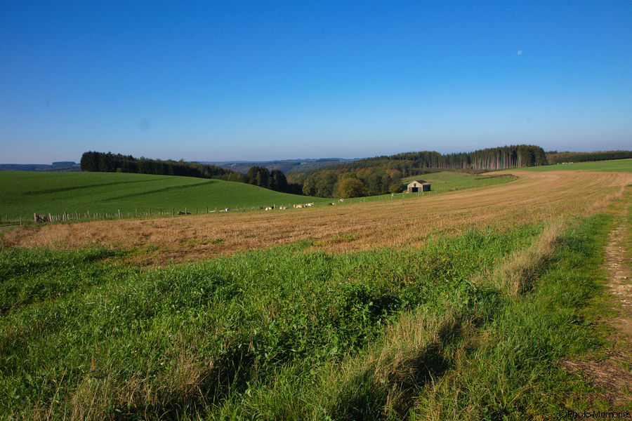 2011-10-16-0045.jpg