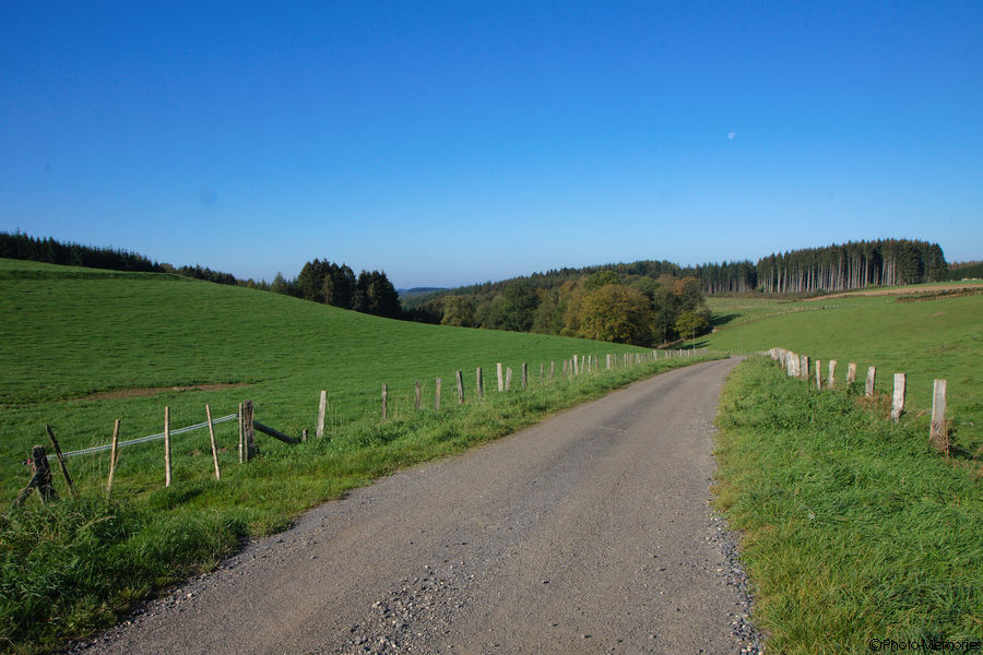 2011-10-16-0046.jpg