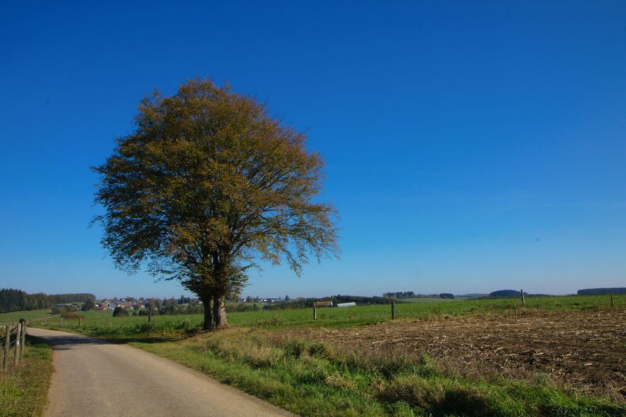 2011-10-16-0054.jpg