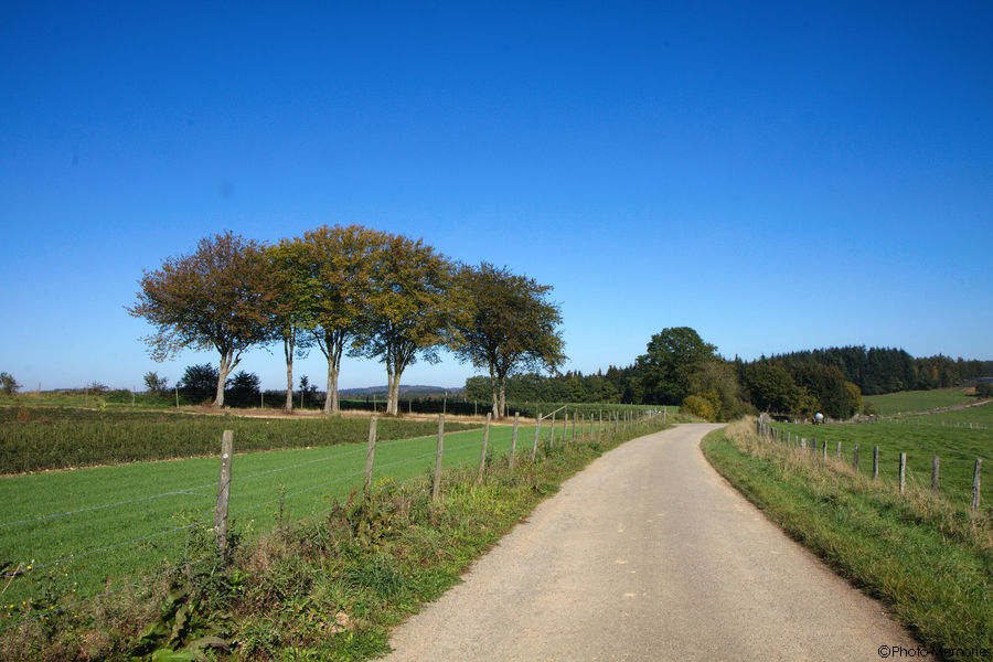 2011-10-16-0056.jpg
