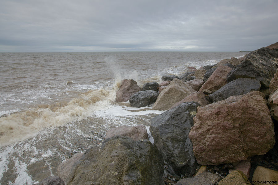 2012-02-23-0099.jpg