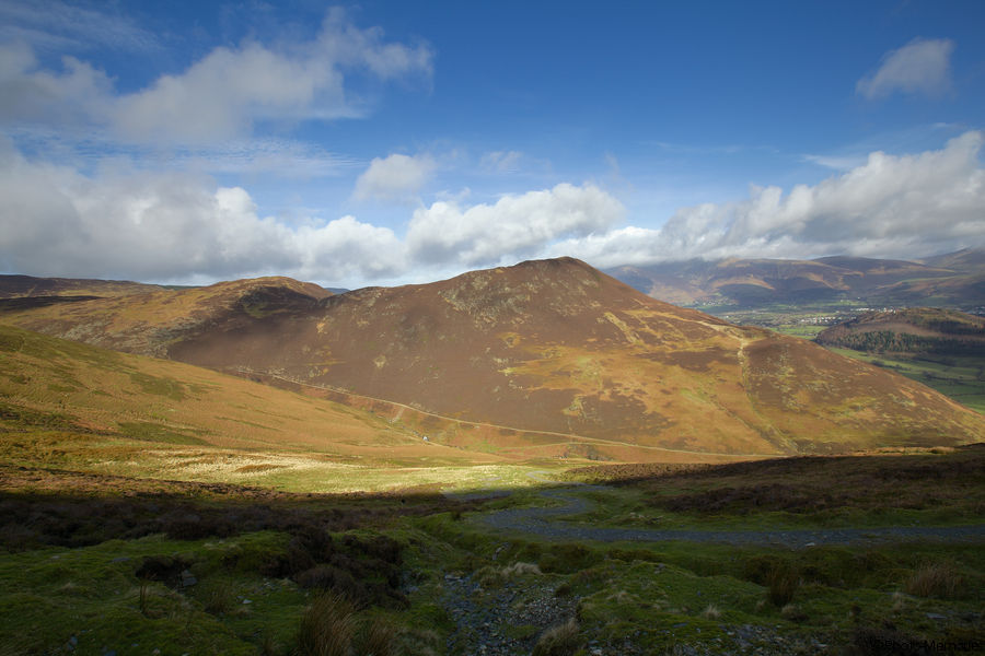 2012-02-24-0129.jpg