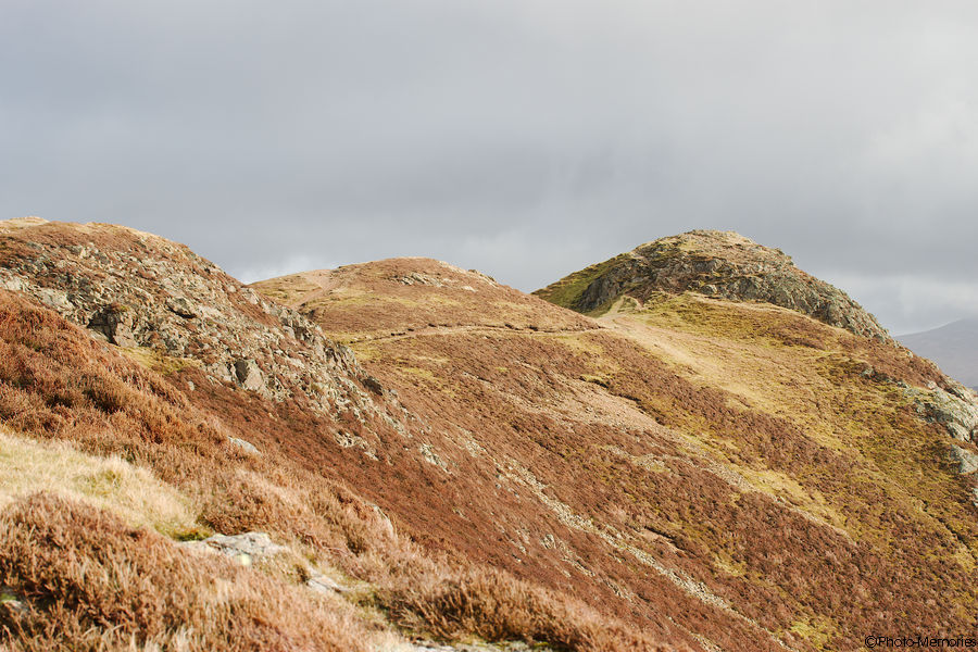 2012-02-24-0136.jpg
