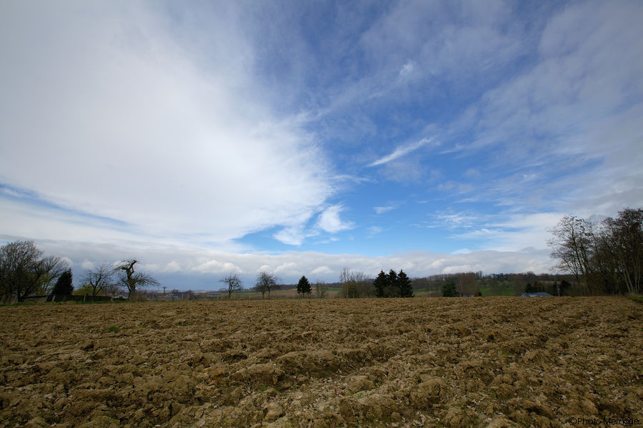 2012-03-18-0046.jpg
