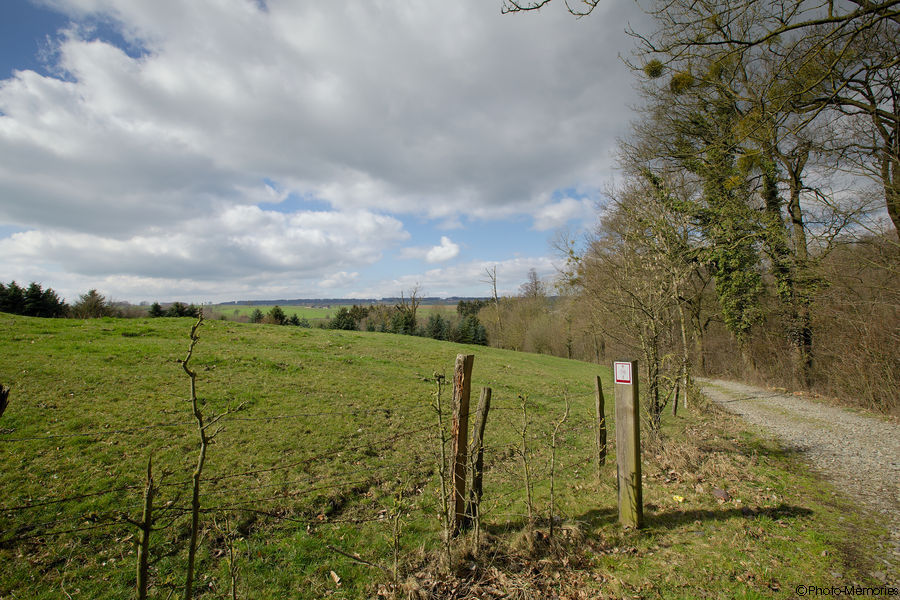 2012-03-19-0079.jpg