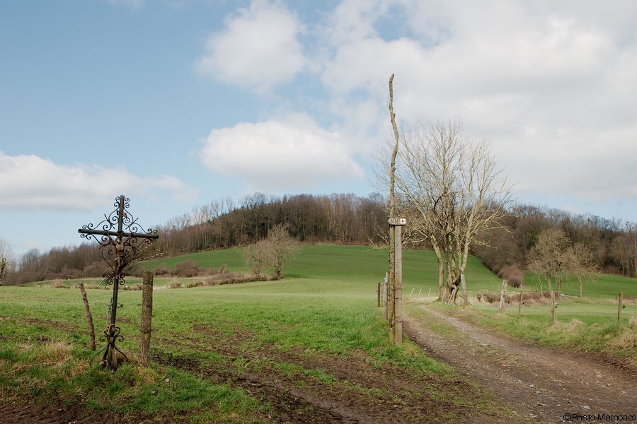 2012-03-19-0080.jpg