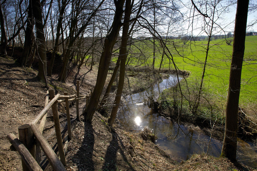 2012-03-19-0087.jpg
