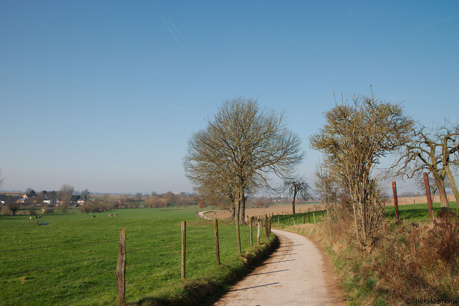 2012-03-20-0098.jpg