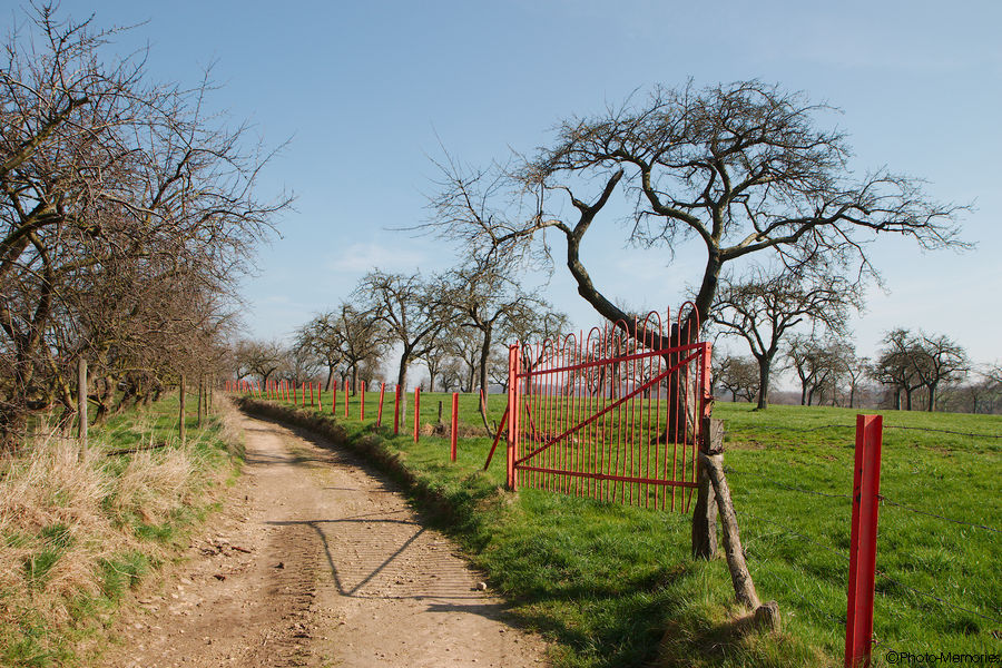 2012-03-20-0105.jpg