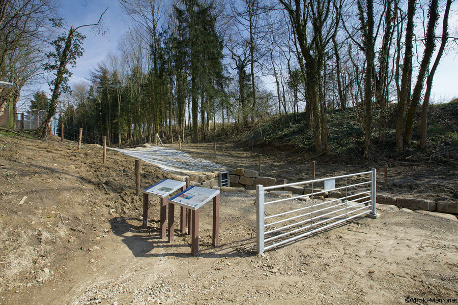 2012-03-20-0115.jpg