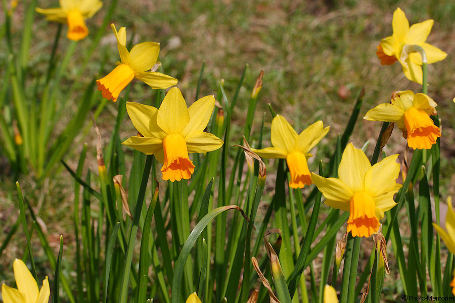 2012-03-20-0118.jpg