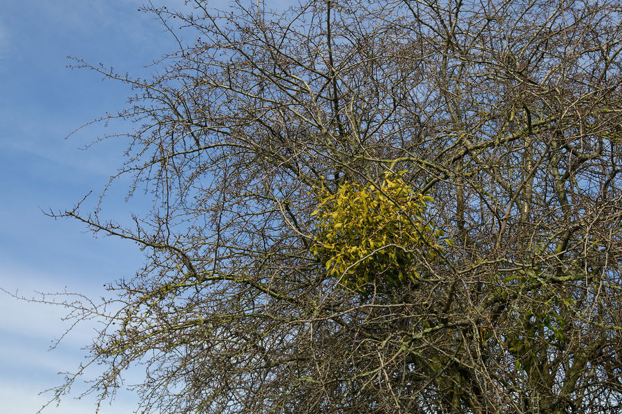 2012-03-20-0122.jpg