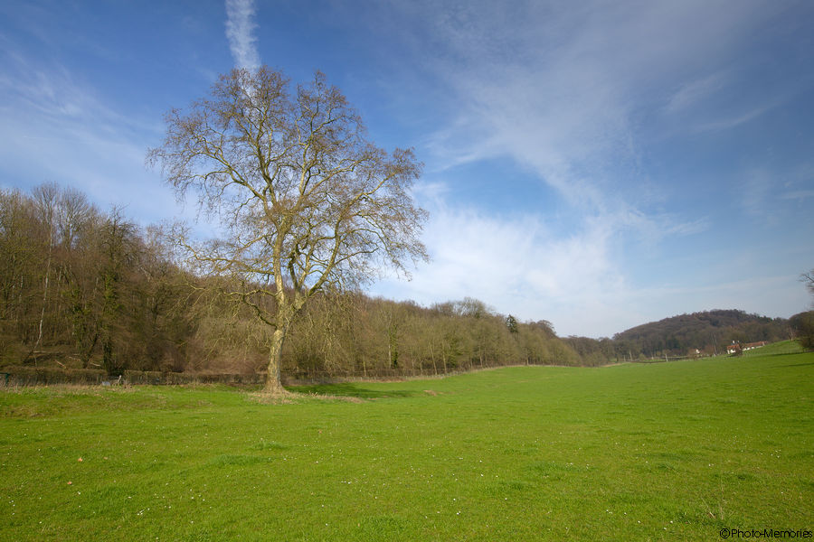 2012-03-20-0124.jpg