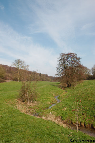 2012-03-20-0125.jpg
