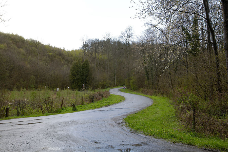 2012-04-21-0005.jpg