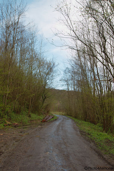 2012-04-21-0007.jpg