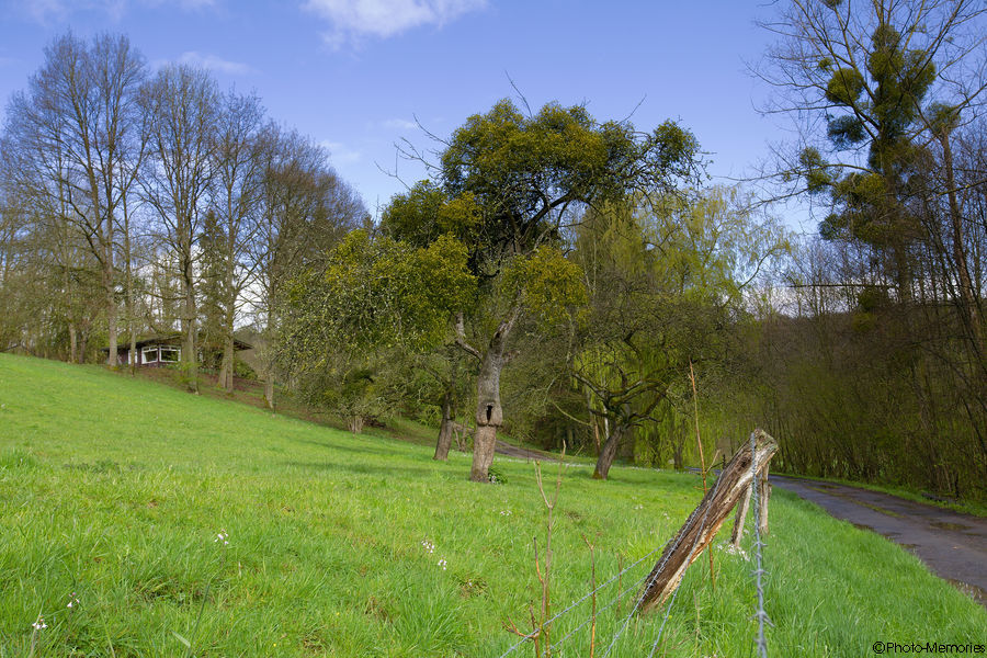 2012-04-21-0009.jpg