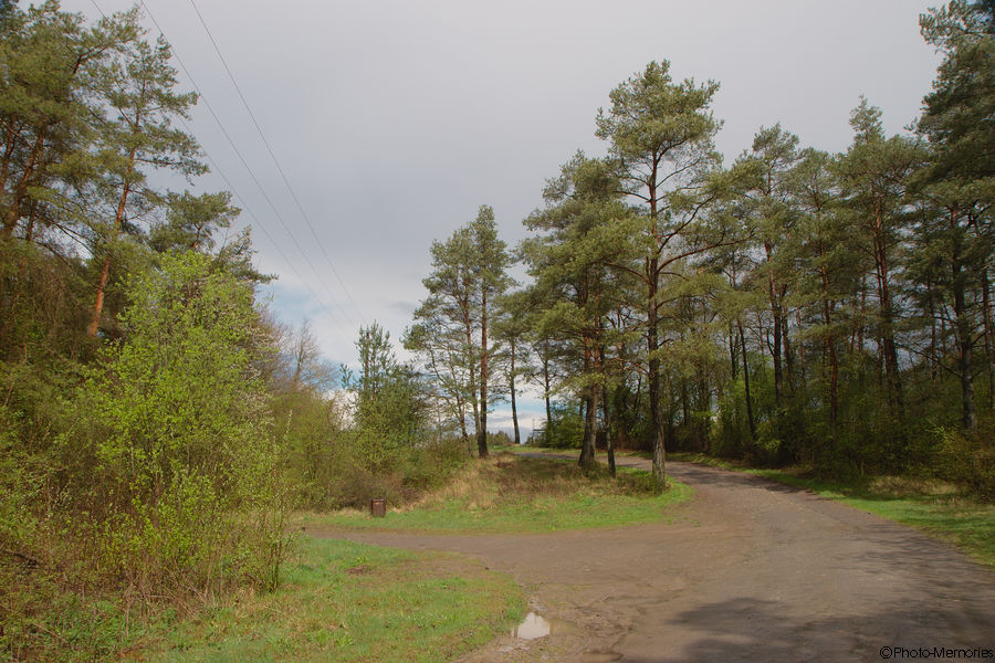 2012-04-21-0012.jpg