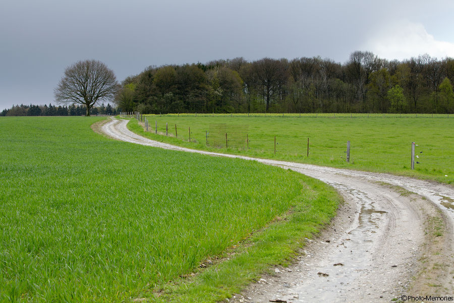2012-04-21-0021.jpg