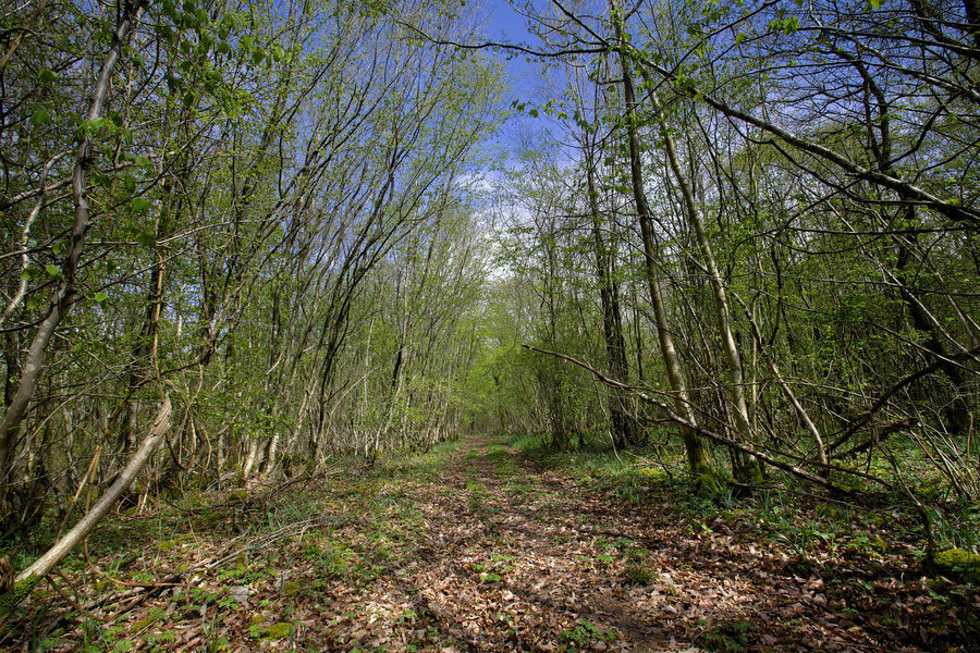 2012-04-21-0024.jpg
