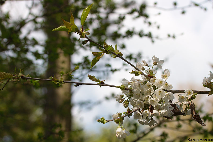 2012-04-22-0046.jpg
