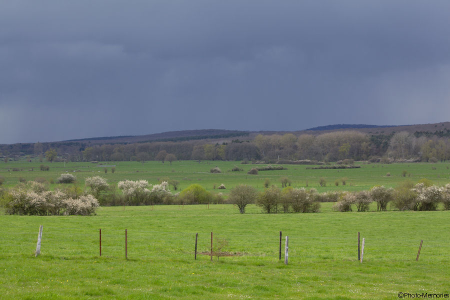 2012-04-22-0053.jpg