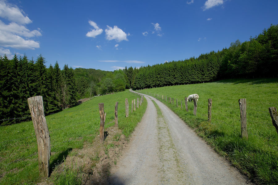 2012-05-27-0049.jpg