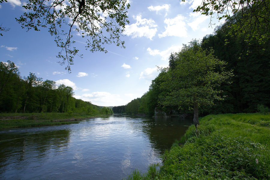 2012-05-27-0050.jpg