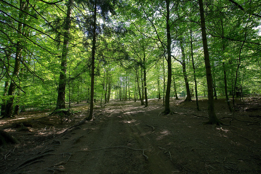2012-05-28-0059.jpg