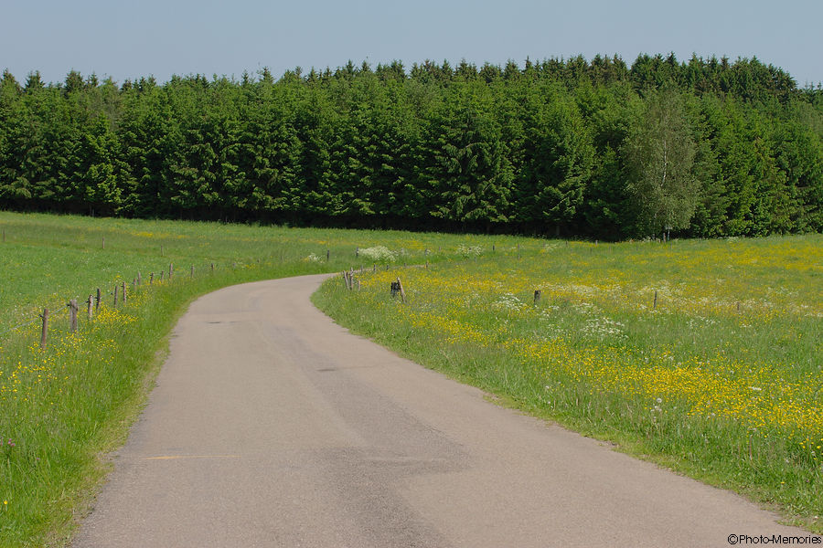 2012-05-28-0064.jpg