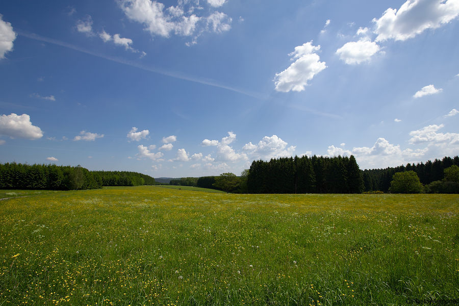 2012-05-28-0066.jpg