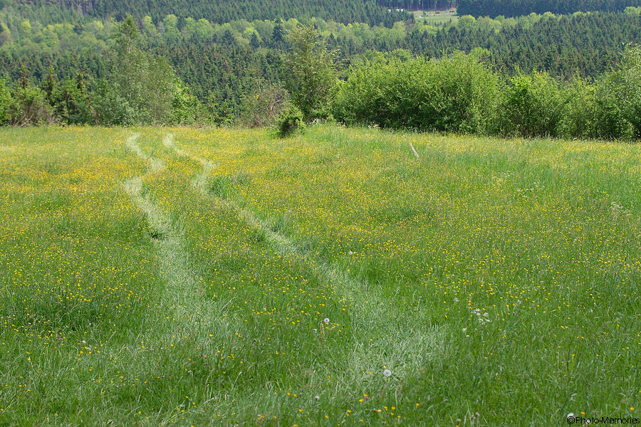 2012-05-28-0075.jpg