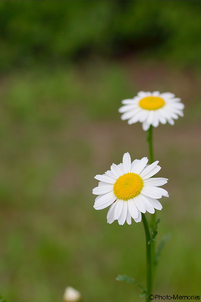 2012-05-28-0076.jpg