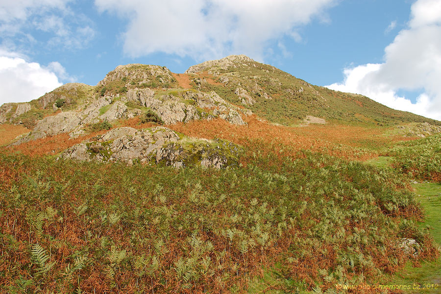 2012-09-12-0354.jpg