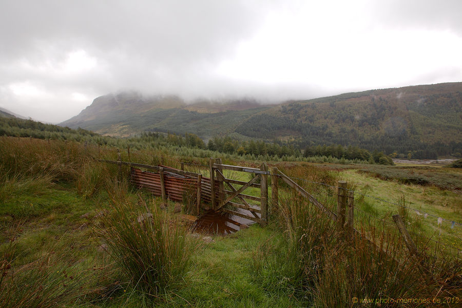 2012-09-13-0383.jpg