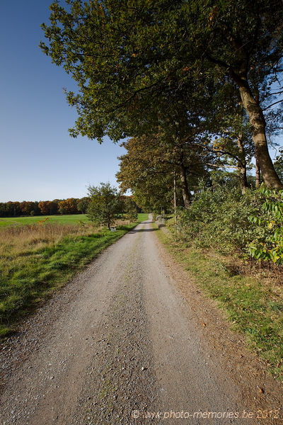 2012-10-19-0002.jpg